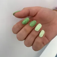 Gelinis lakas Macarons Mint Muffin, Didier Lab