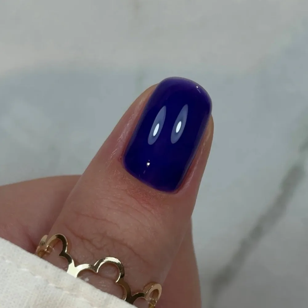Builder Gel BBIO, Blue Berry, Didier Lab