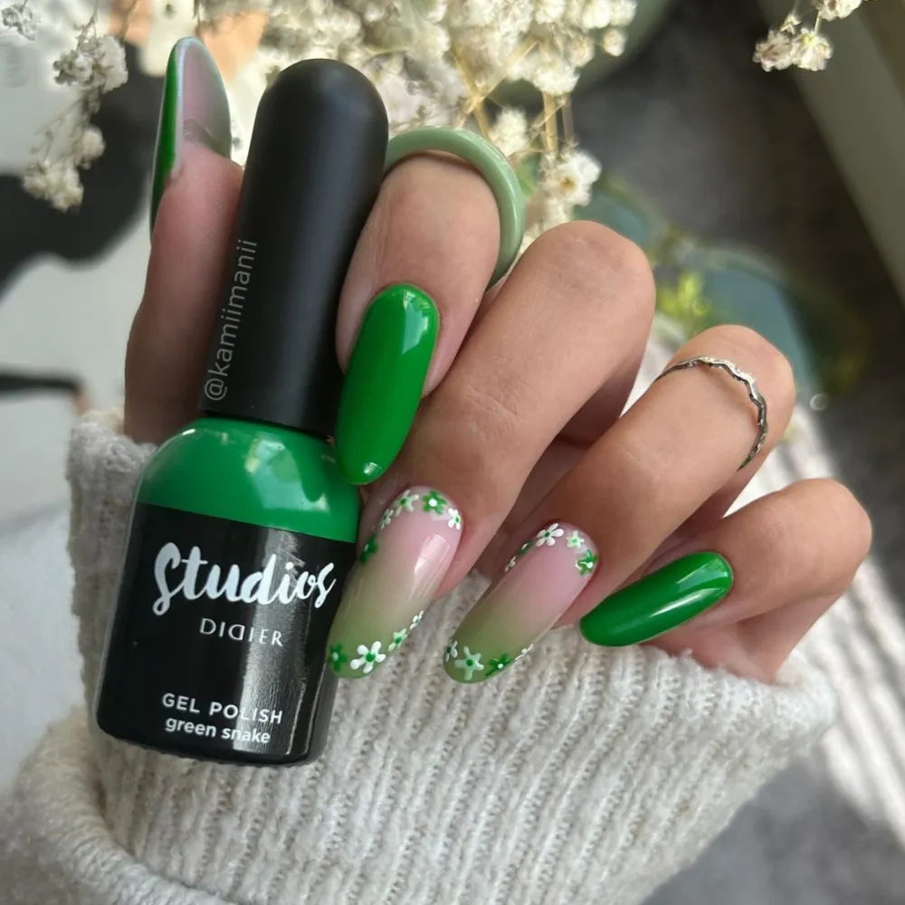 "Studios Didier" gelinis lakas, Green snake