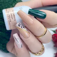 Gelinis lakas Macarons Biscuit, Didier Lab, be Hema