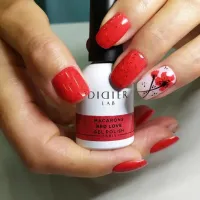 Gelinis lakas Macarons Red Love, Didier Lab