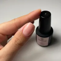 Builder Gel BBIO, Concealer, Didier Lab