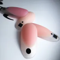 Maskuojanti kaučiukinė bazė Rubber base, Cover pink, Didier Lab