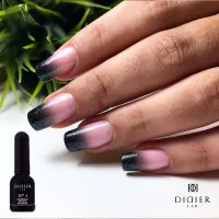 "Didier Lab" chameleono efekto viršutinis sluoksnis, no1