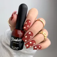 "Studios Didier" gelinis lakas, Merlot wine