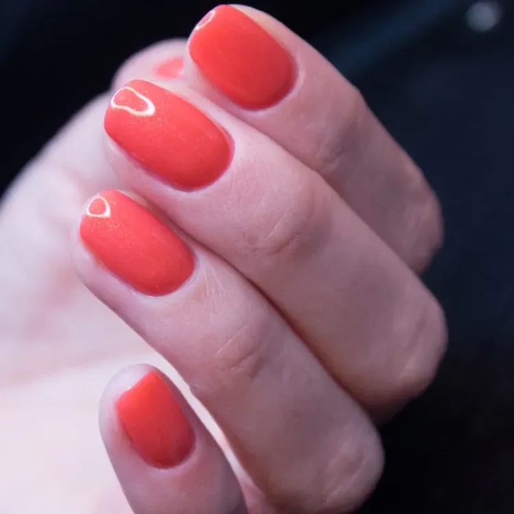 "Studios Didier" gelinis lakas  Constellation