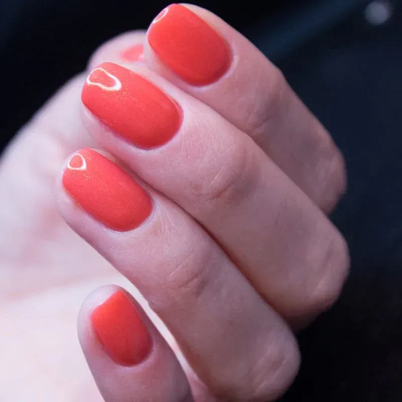 "Studios Didier" gelinis lakas  Constellation