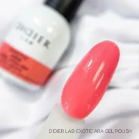 Gelinis lakas Exotic Ara, Didier Lab