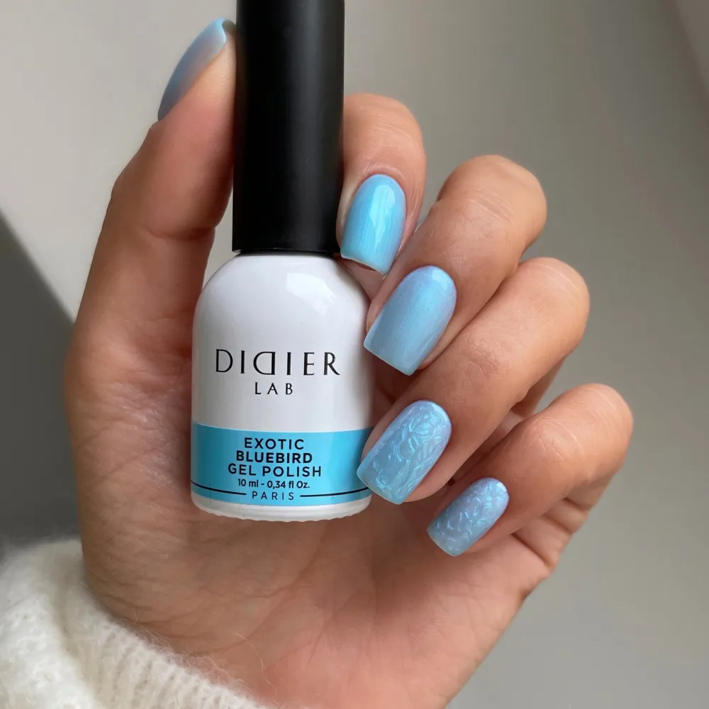 Gelinis lakas Exotic Bluebird, Didier Lab