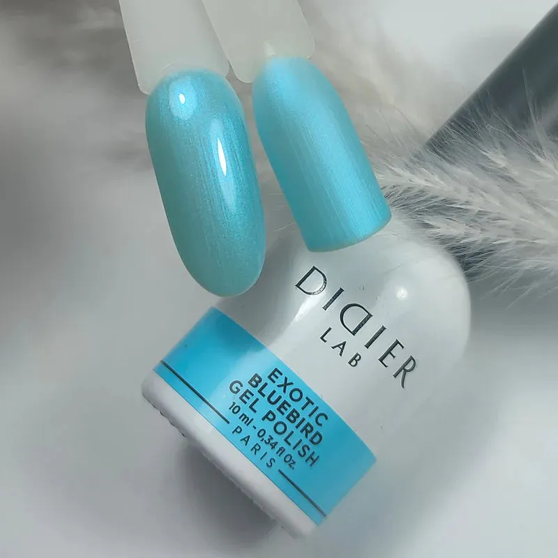 Gelinis lakas Exotic Bluebird, Didier Lab