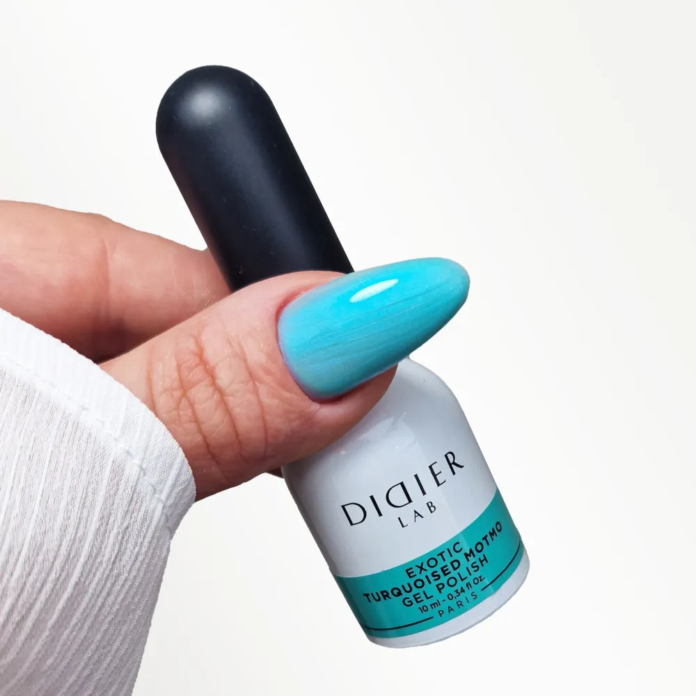Gelinis lakas Exotic Turquoised Motmo, Didier Lab