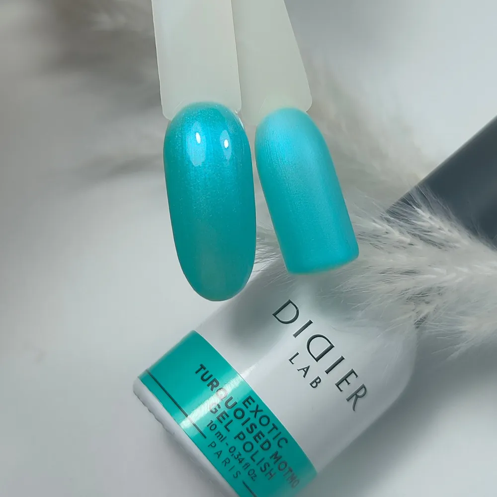 Gelinis lakas Exotic Turquoised Motmo, Didier Lab