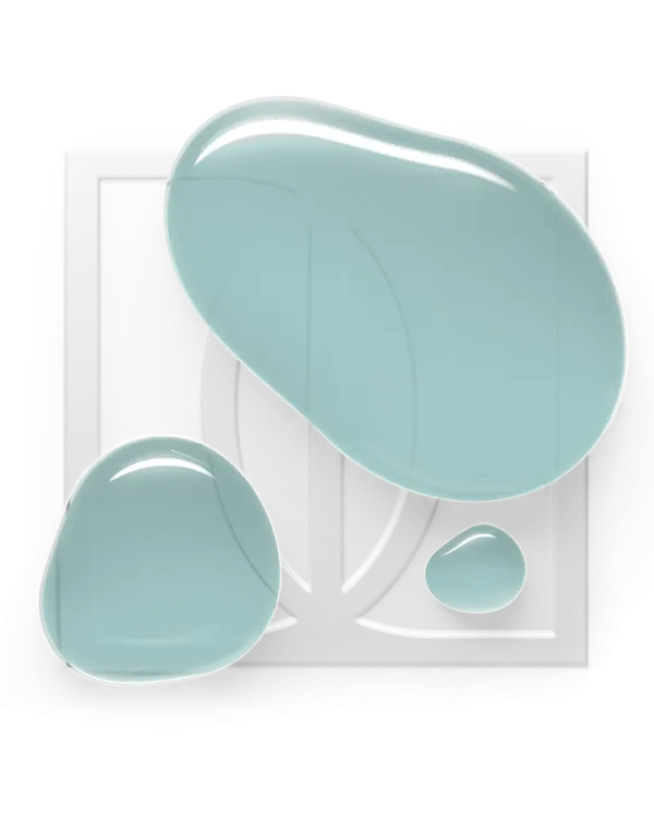 [TR] Maskuojanti kaučiukinė bazė  Rubber base, Soft mint, Didier Lab