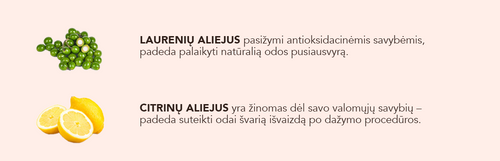 5 (5).png__PID:93932df5-a207-4386-a8ef-75b88996aca2