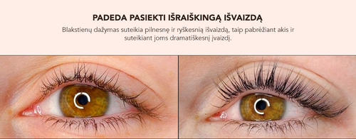 7 (4).png__PID:097fc6b6-143b-41b8-8d55-abc9a84ea7cf