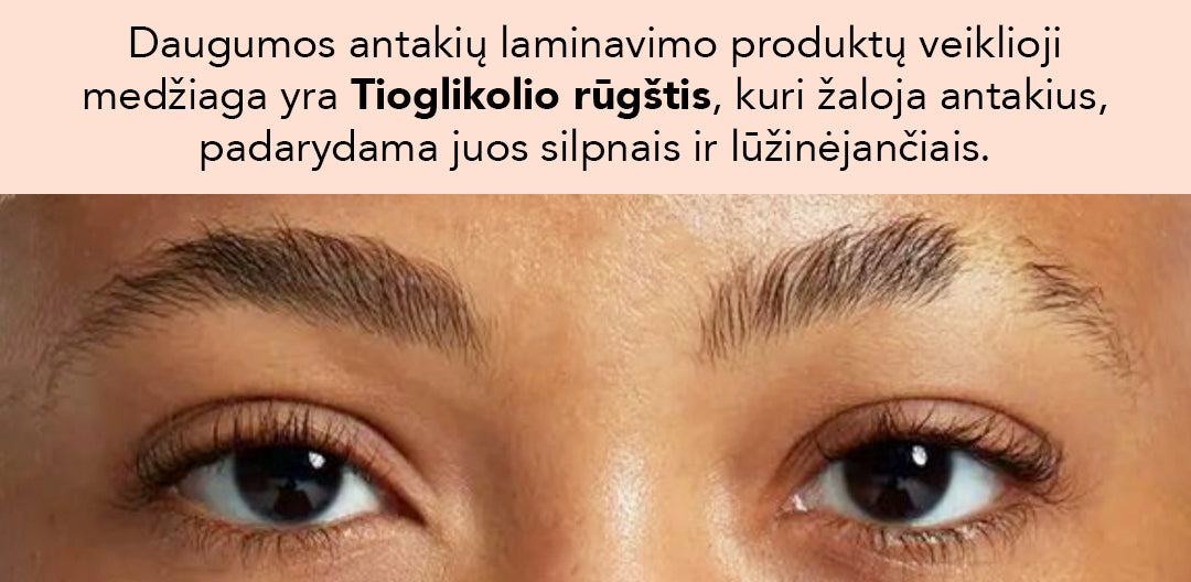 Brow lamination landing LT - 4 (1) (1).jpg__PID:eba88d9d-aa3d-46f6-9f66-de54c265e326